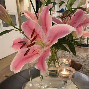 Meet your Posher, Kristina